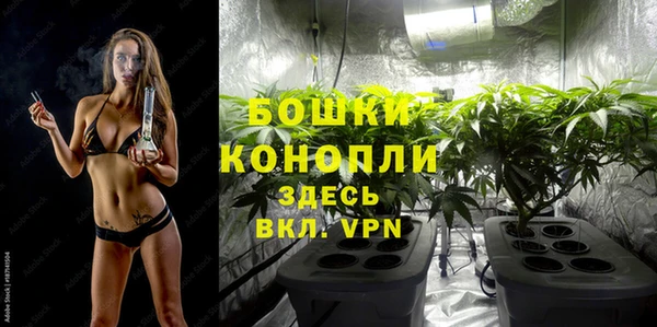 2c-b Белокуриха