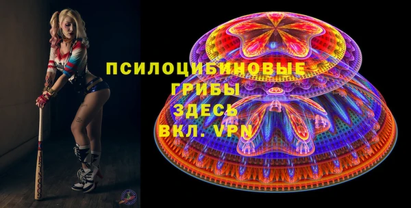 2c-b Белокуриха