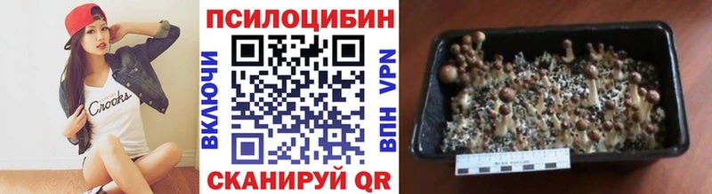 Псилоцибиновые грибы MAGIC MUSHROOMS  Кувшиново 